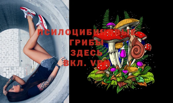 mdma Осинники