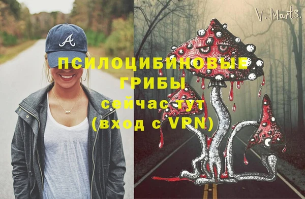 прущая мука Пересвет