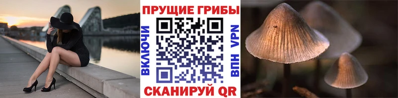 дарнет шоп Балабаново Галлюциногенные грибы GOLDEN TEACHER