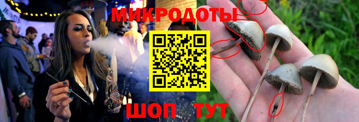 Балабаново  Псилоцибиновые грибы GOLDEN TEACHER  Галлюциногенные грибы Magic Shrooms  Вход с VPN 